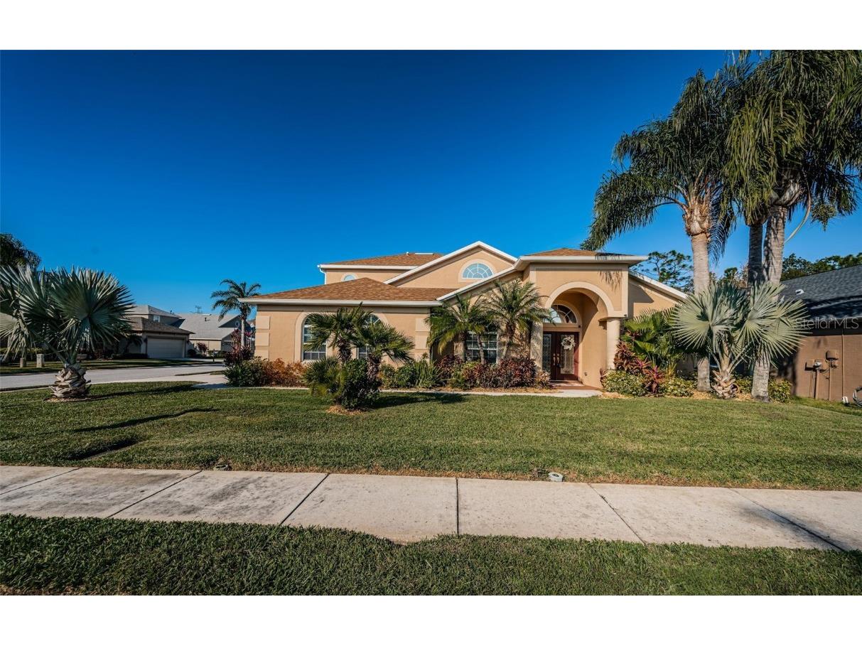 7643 Arelli Drive Trinity FL 34655 W7871121 image1