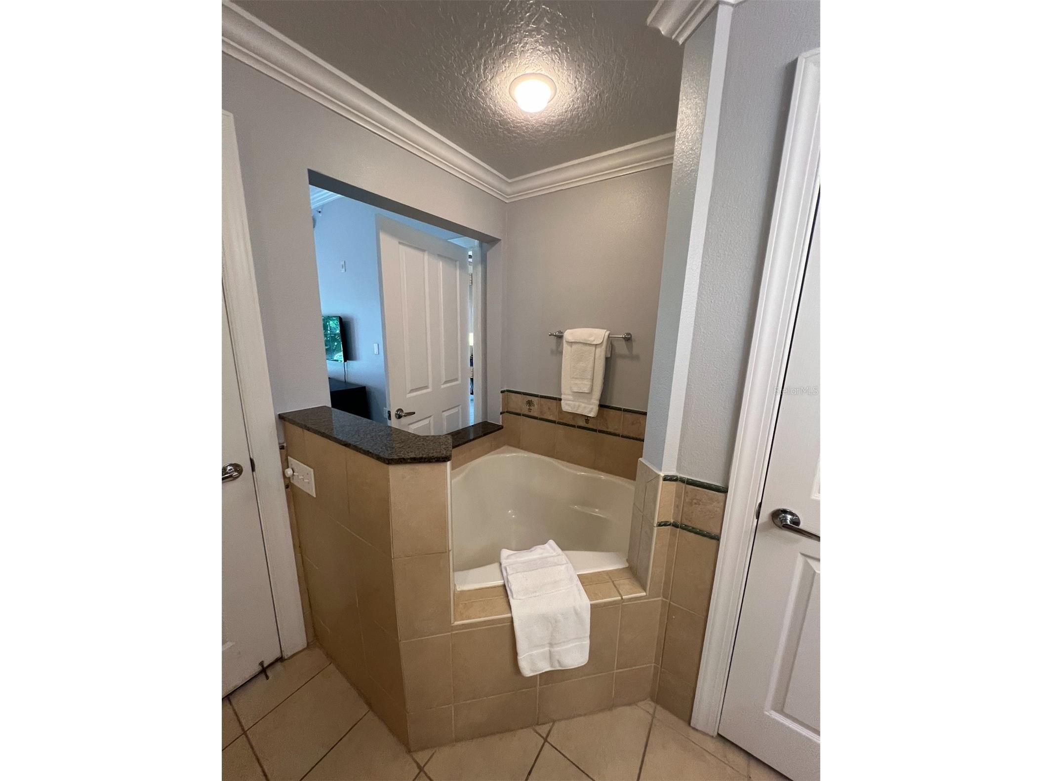 7643 Heritage Crossing Way #101 Reunion FL 34747 R4911352 image10