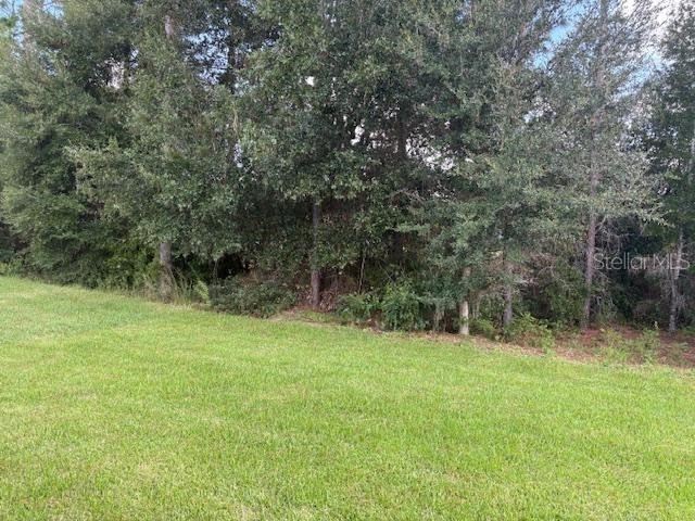 7673 SW 180th Circle Dunnellon FL 34432 OM709553 image10