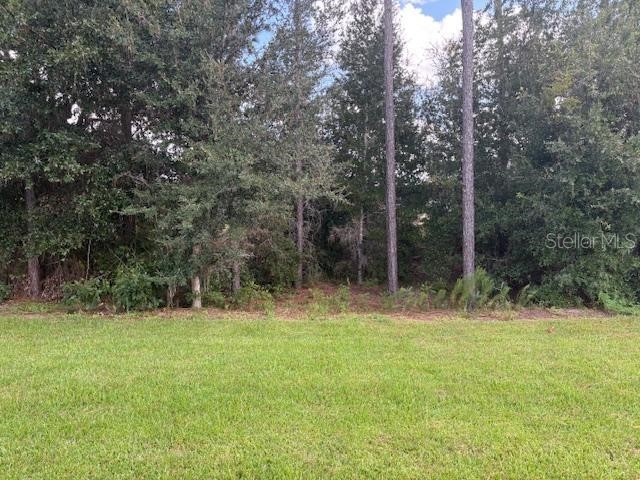 7673 SW 180th Circle Dunnellon FL 34432 OM709553 image8
