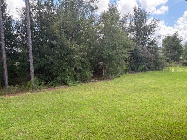 7673 SW 180th Circle Dunnellon FL 34432 OM709553 image9