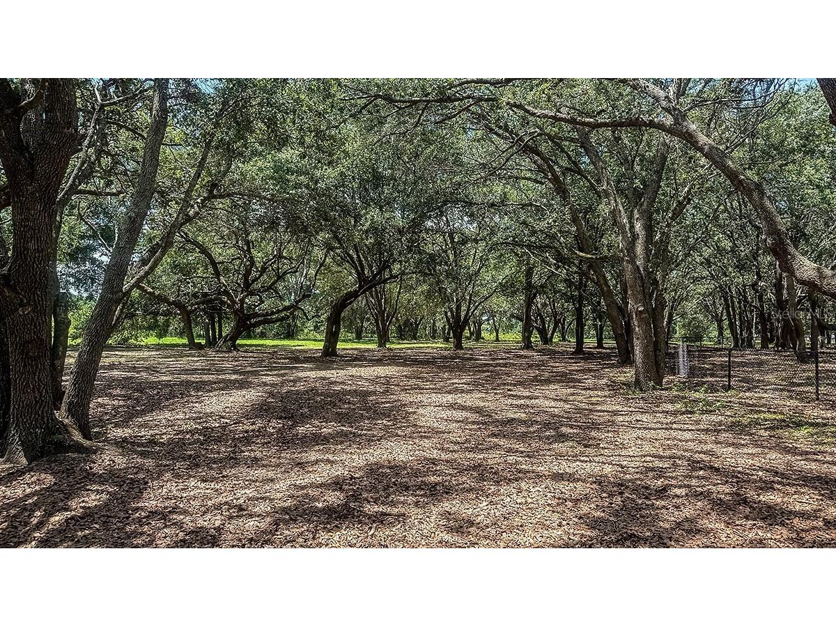 7643 Waterscape Drive Groveland FL 34736 O6379520 image34