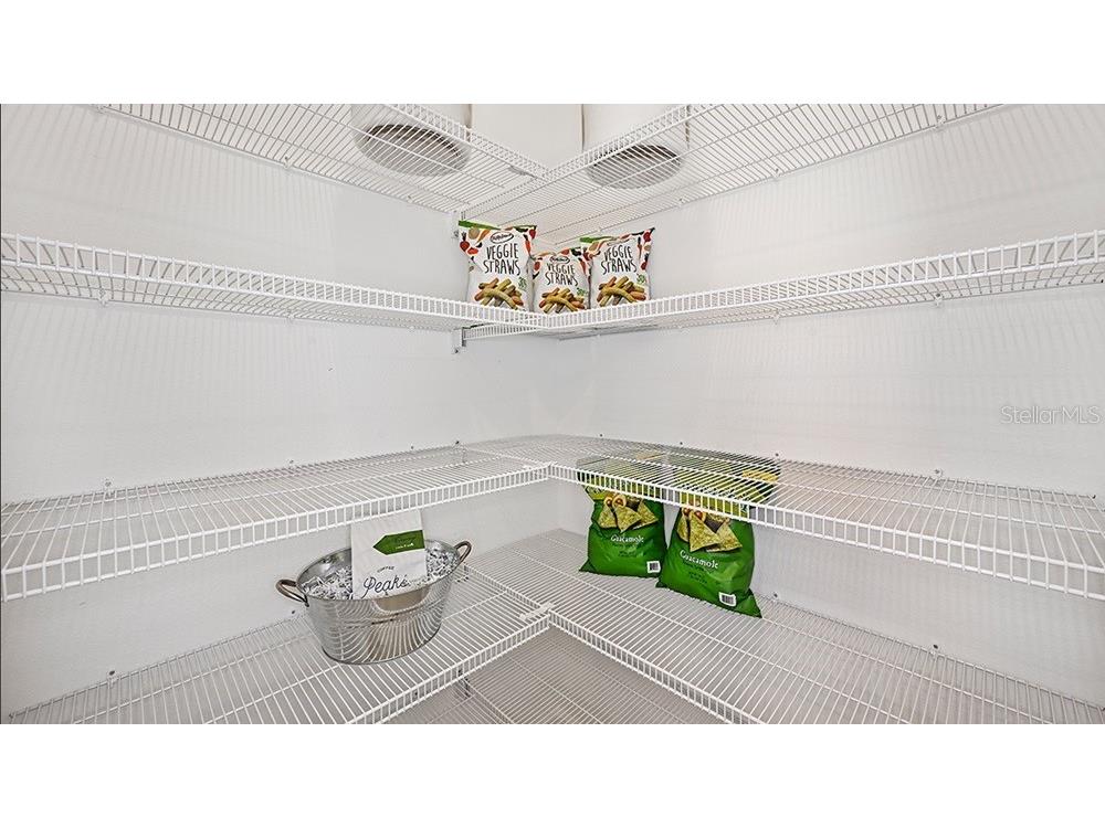 7643 Waterscape Drive Groveland FL 34736 O6379520 image8