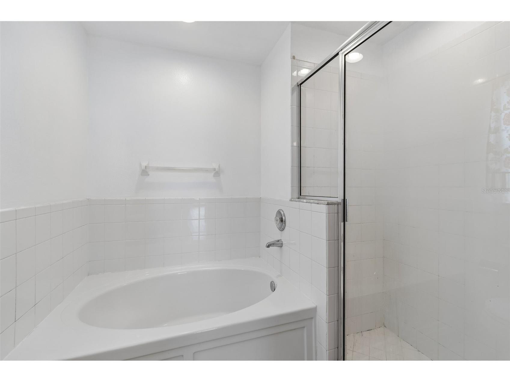 7643 Weehawken Drive Zephyrhills FL 33540 TB8490747 image40