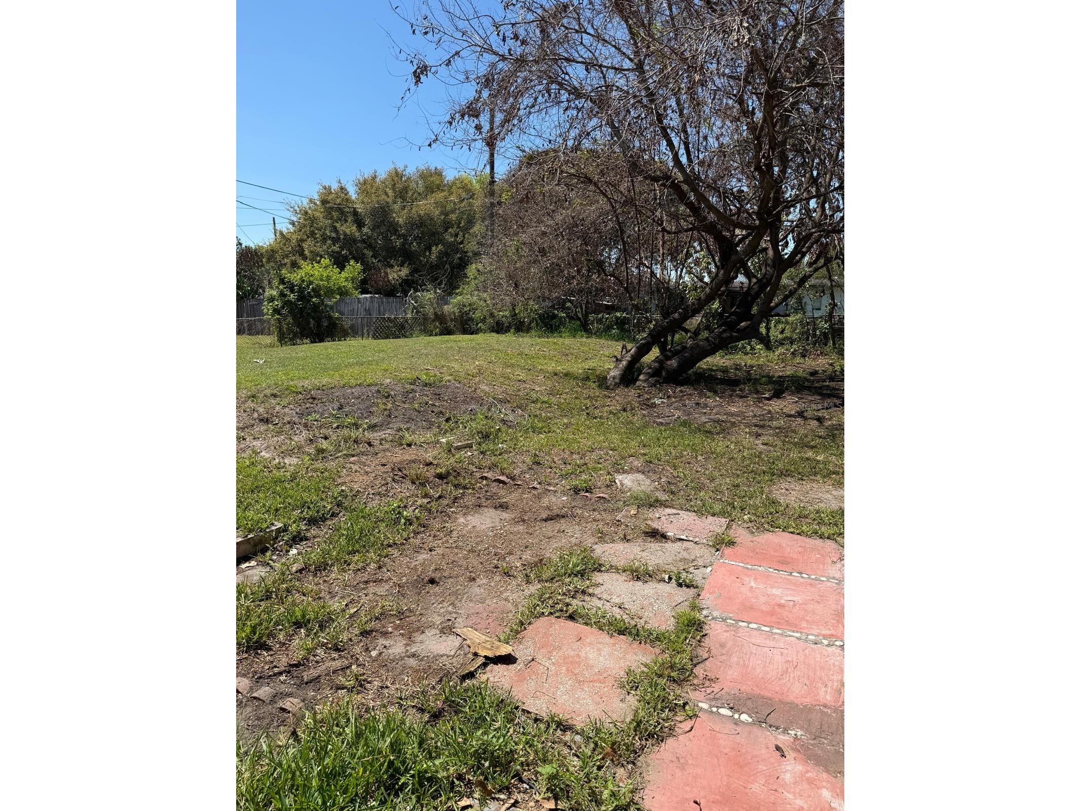 7644 Arlene Avenue Orlando FL 32812 O6391314 image10