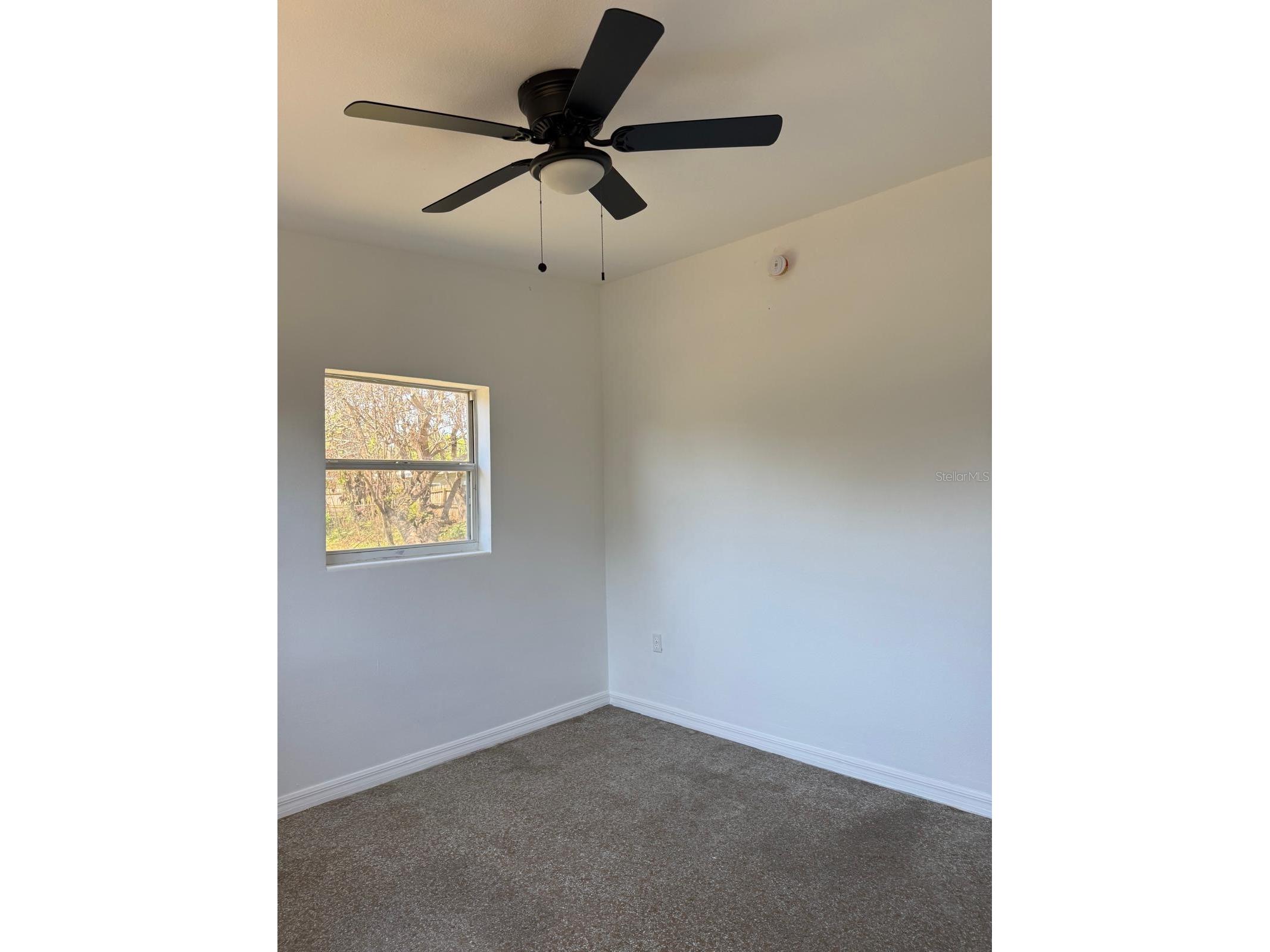 7644 Arlene Avenue Orlando FL 32812 O6391314 image24