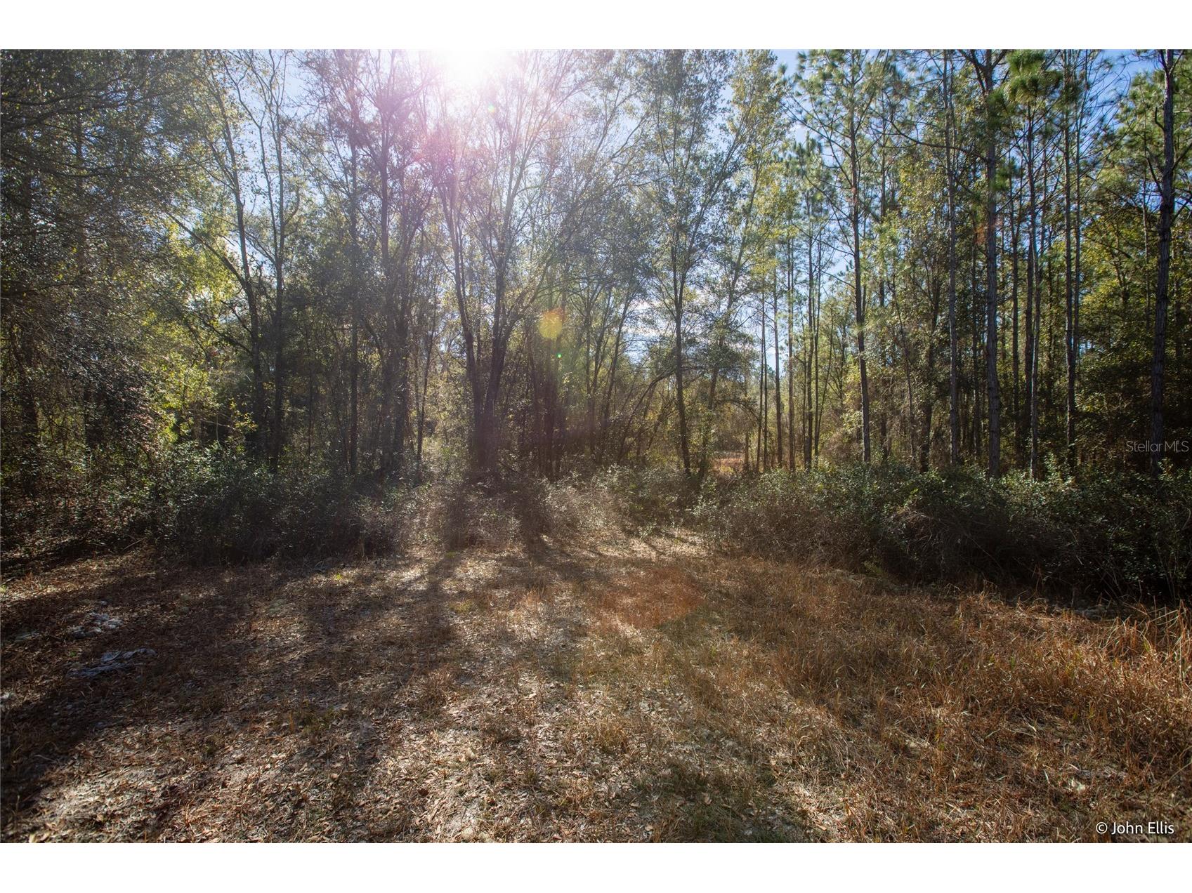 7644 Huron Court Keystone Heights FL 32656 GC536632 image11