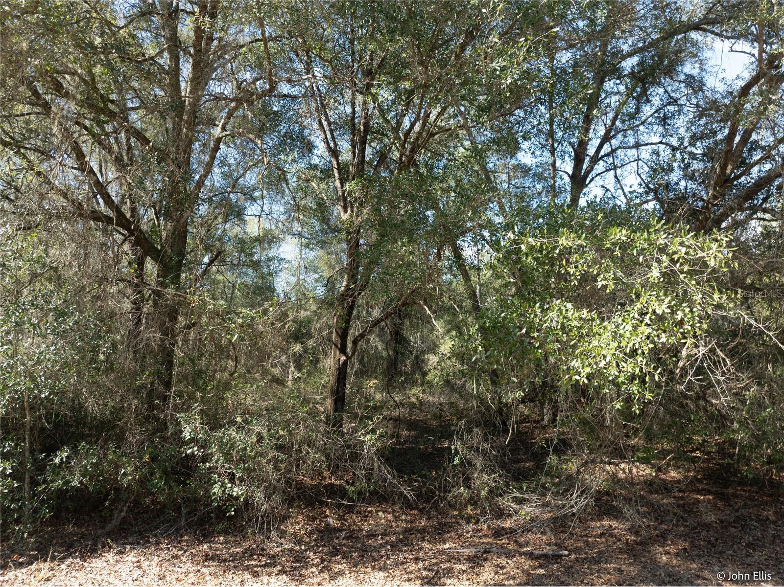 7644 Huron Court Keystone Heights FL 32656 GC536632 image5