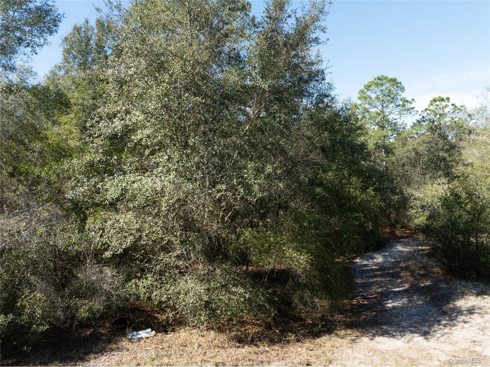 7644 Huron Court Keystone Heights FL 32656 GC536632 image7
