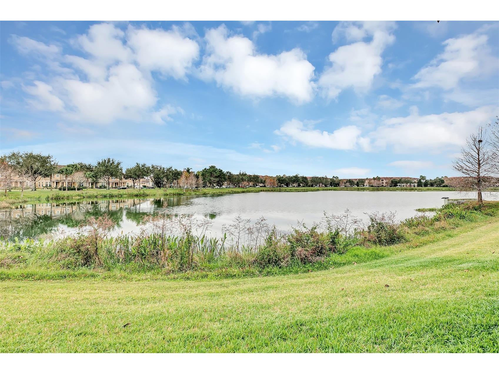 7644 Ripplepointe Way Windermere FL 34786 O6395582 image47