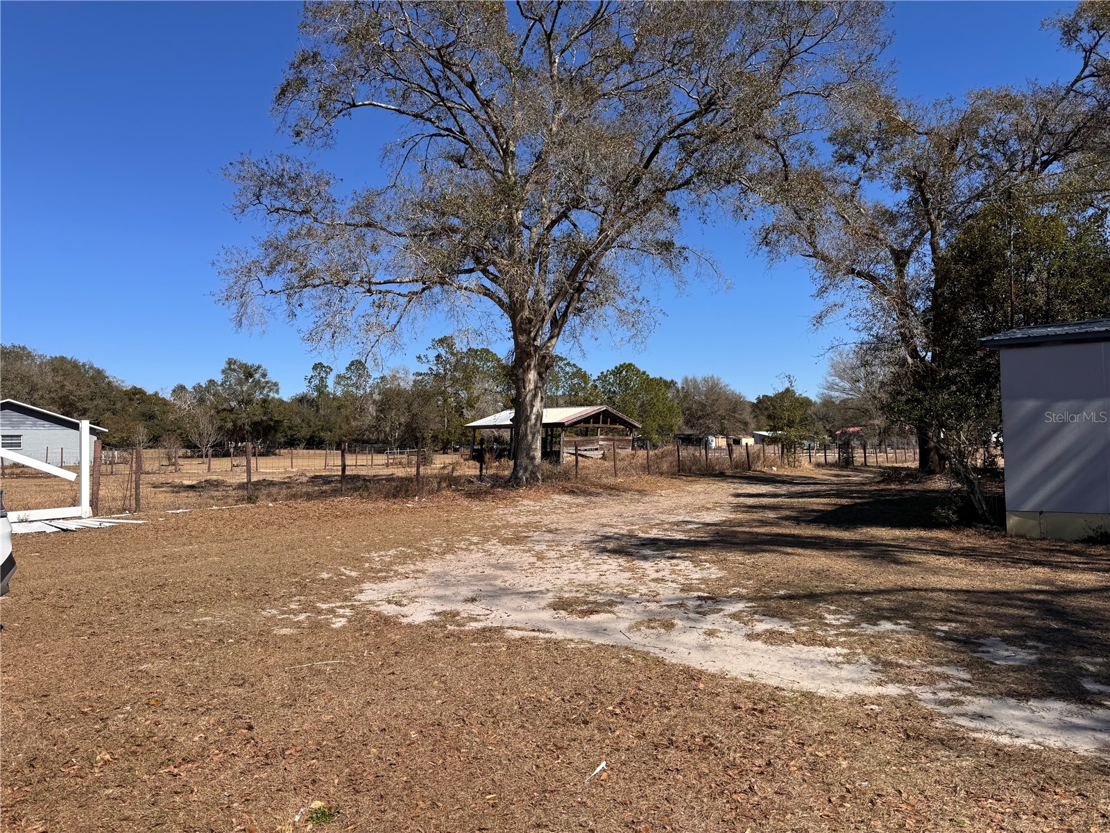 7647 Shannon Lane Zephyrhills FL 33540 TB8476838 image15