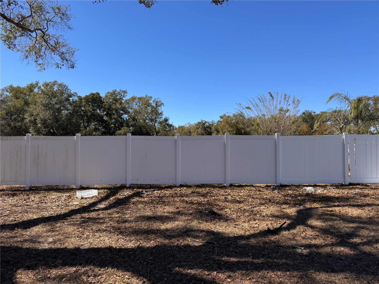 7647 Shannon Lane Zephyrhills FL 33540 TB8476838 image24
