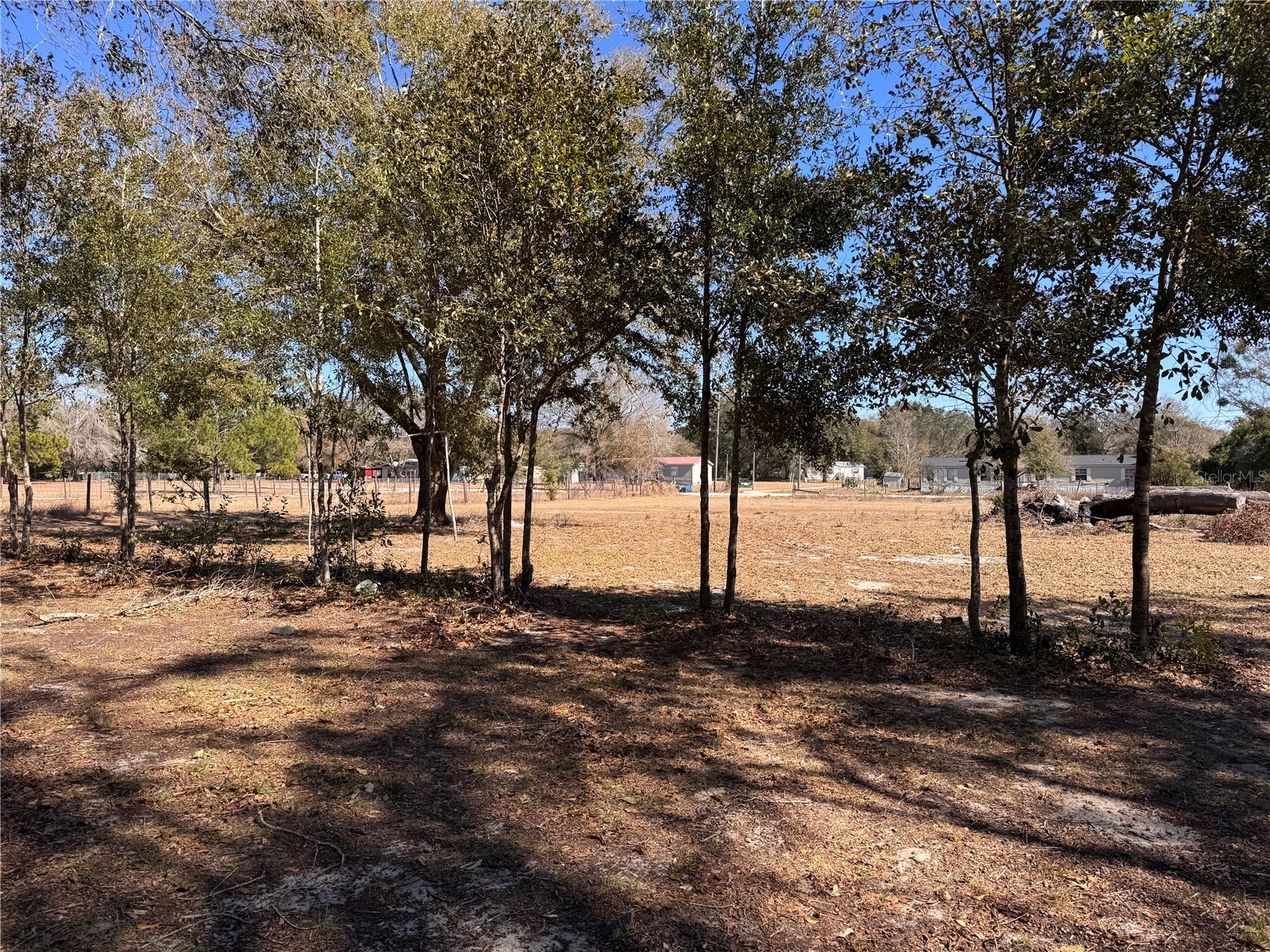 7647 Shannon Lane Zephyrhills FL 33540 TB8476838 image31