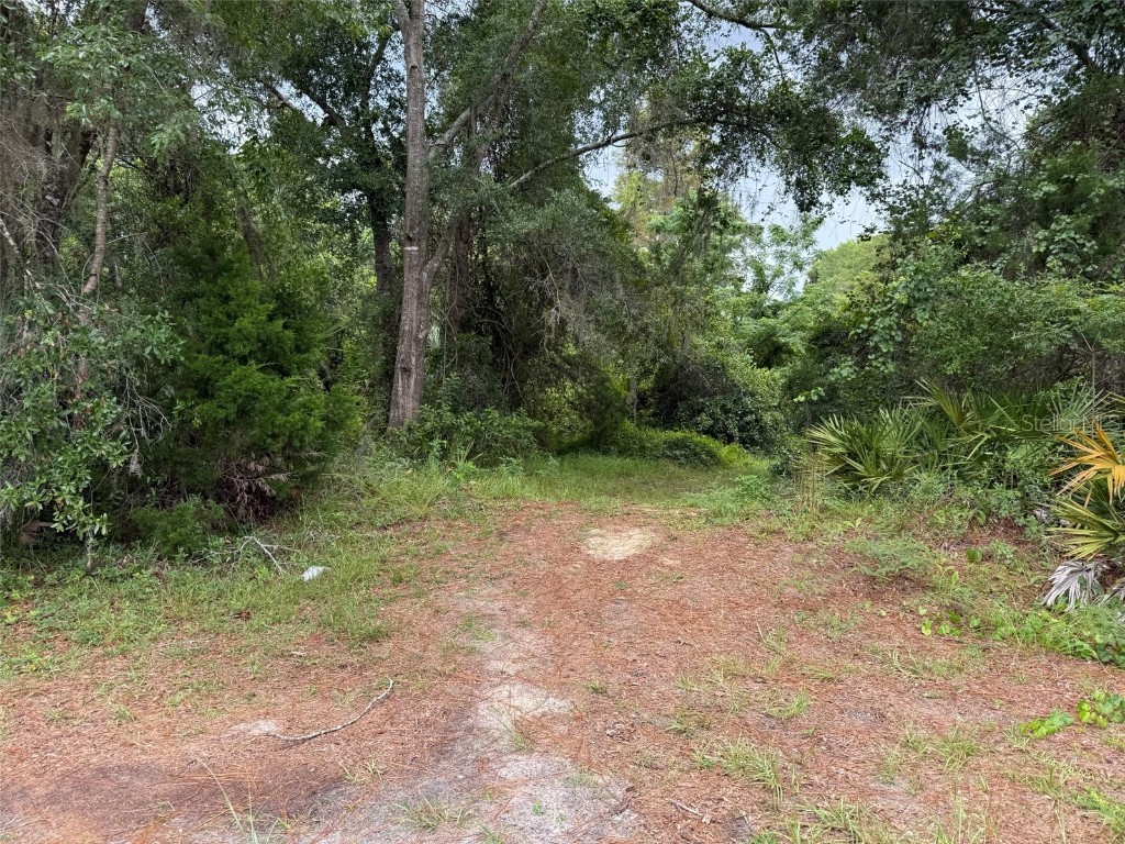 7647 W Springtime Lane #32 Homosassa FL 34448 OK225334 image1