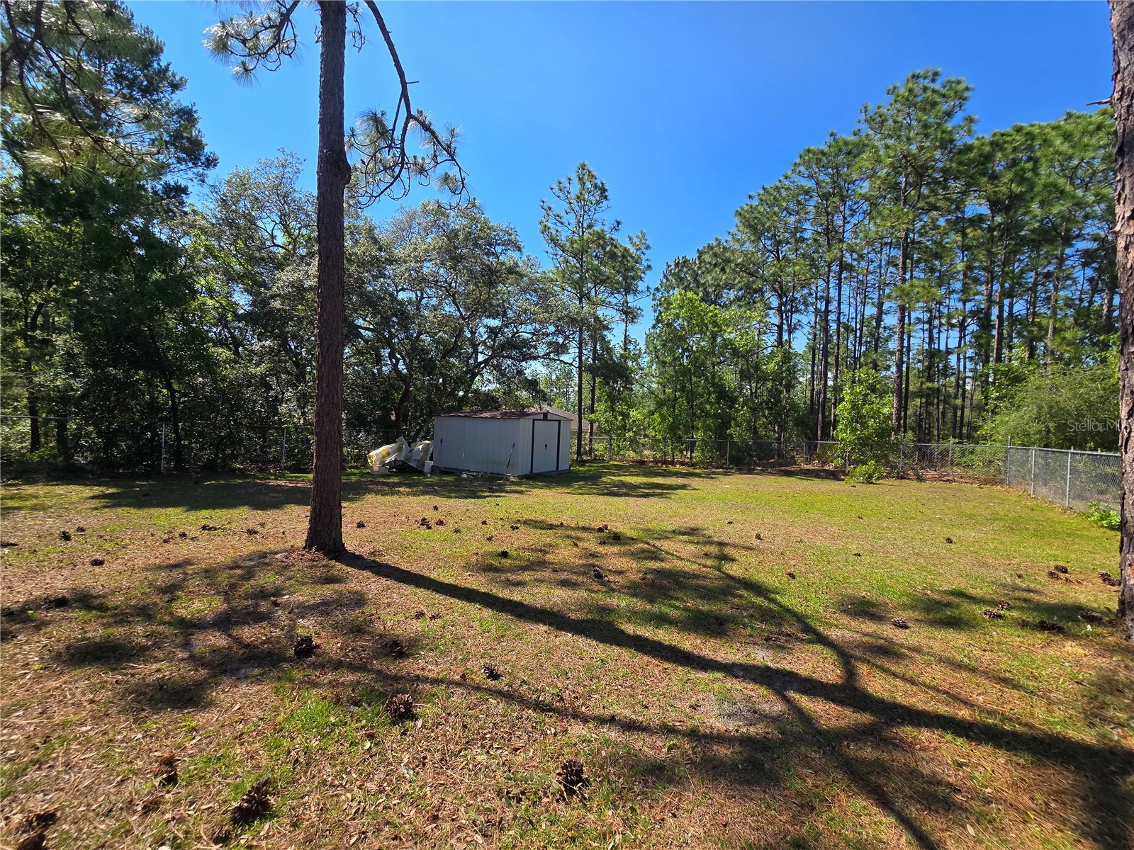 7648 N Galt Point Citrus Springs FL 34434 OM724748 image6