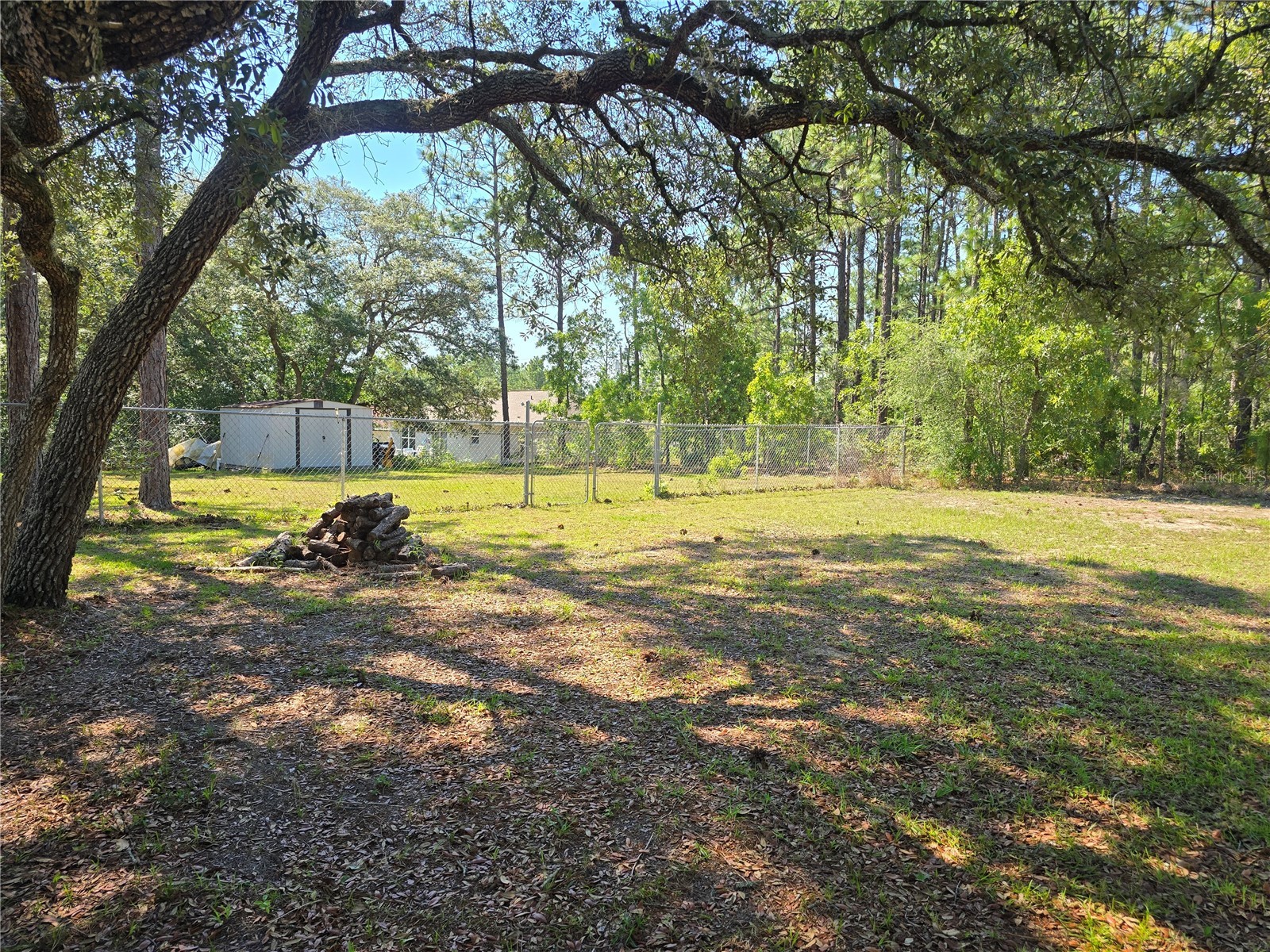 7648 N Galt Point Citrus Springs FL 34434 OM724748 image8