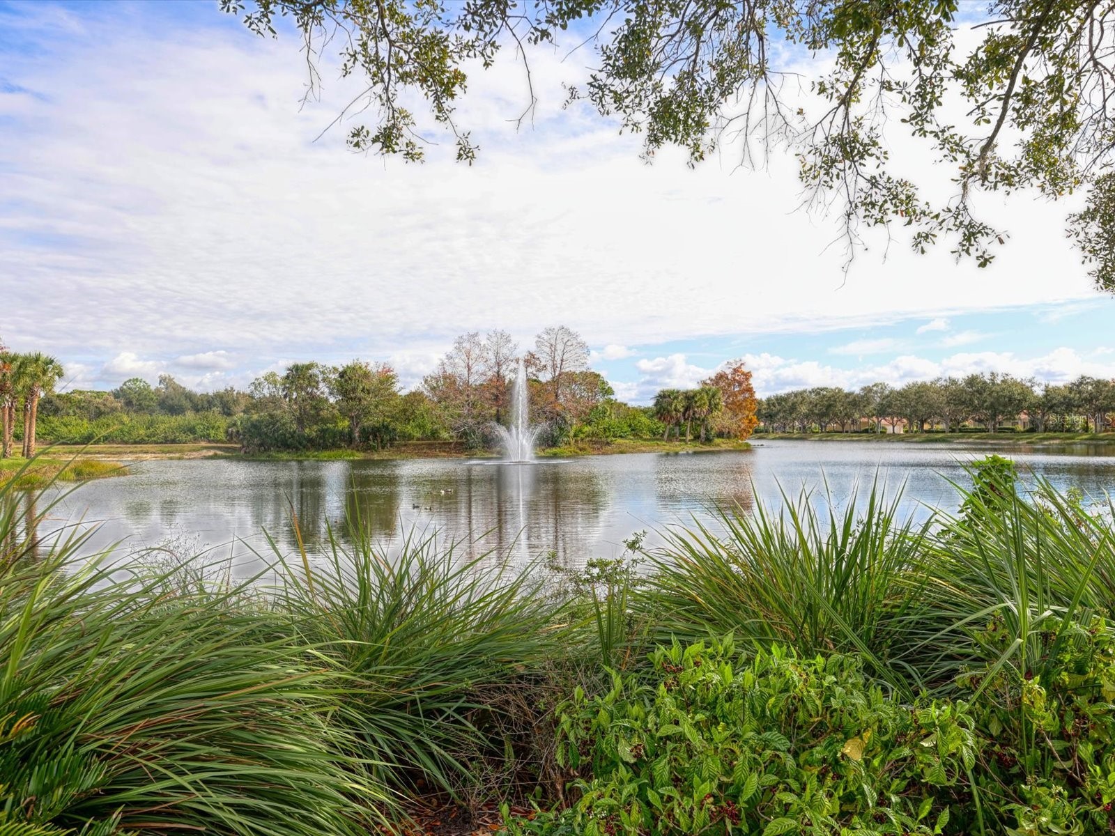 7648 Quinto Drive Sarasota FL 34238 A4678630 image49