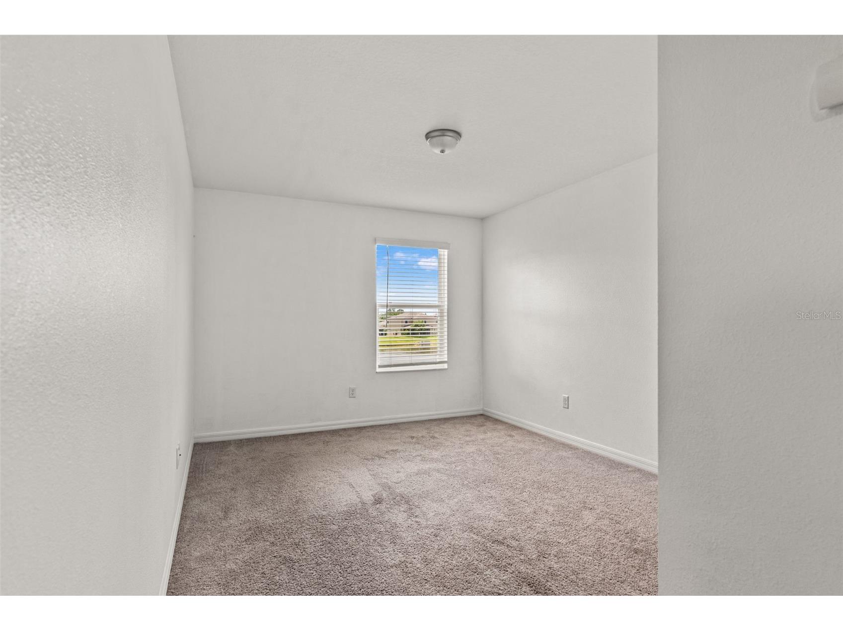 7648 Sweeter Tide Trail Wesley Chapel FL 33545 TB8517329 image46