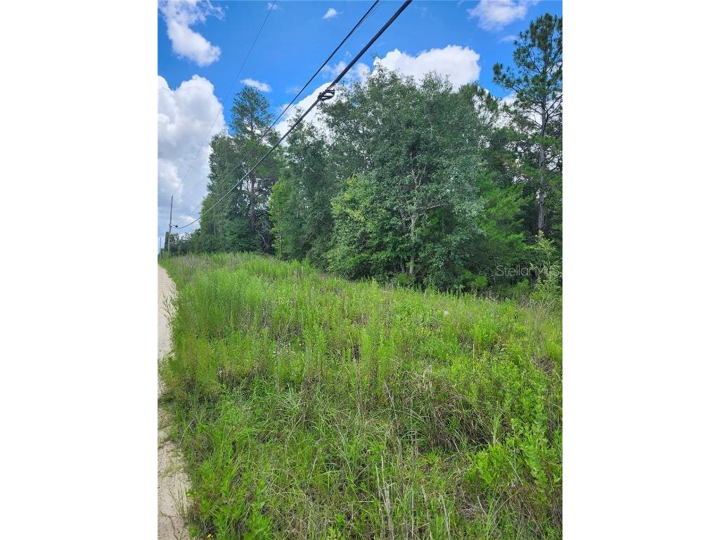 7649 Casa Grande Keystone Heights FL 32656 GC532123 image2