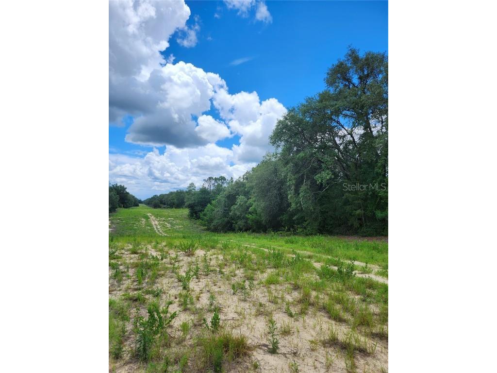 7649 Casa Grande Keystone Heights FL 32656 GC532123 image5