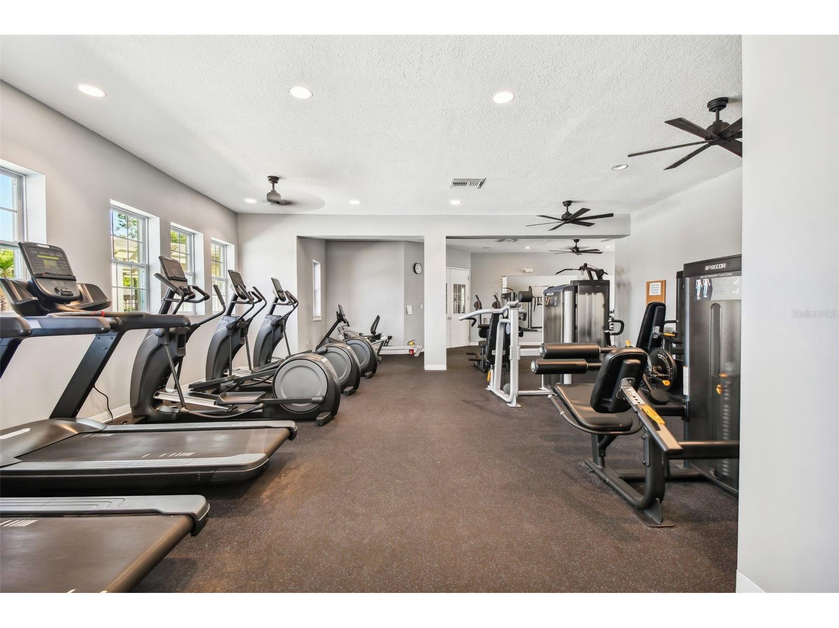 7649 Nottinghill Sky Drive Apollo Beach FL 33572 TB8483676 image43