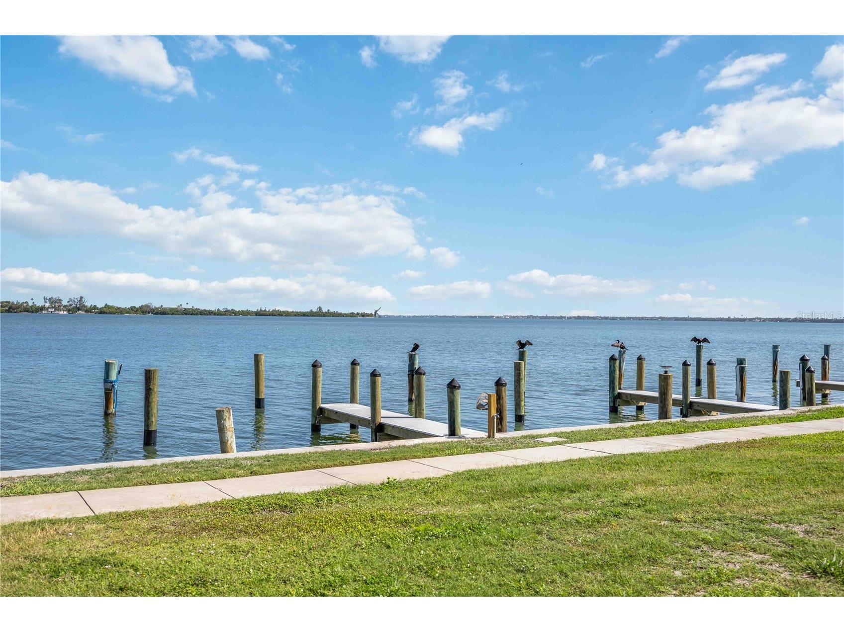 765 John Ringling Boulevard #5 Sarasota FL 34236 - SARASOTA BAY A4694521 image37