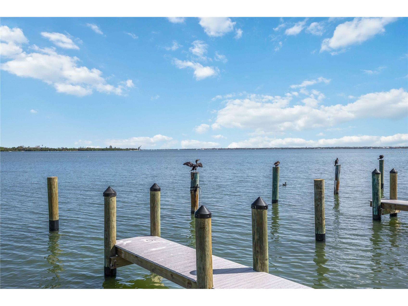 765 John Ringling Boulevard #5 Sarasota FL 34236 - SARASOTA BAY A4694521 image39