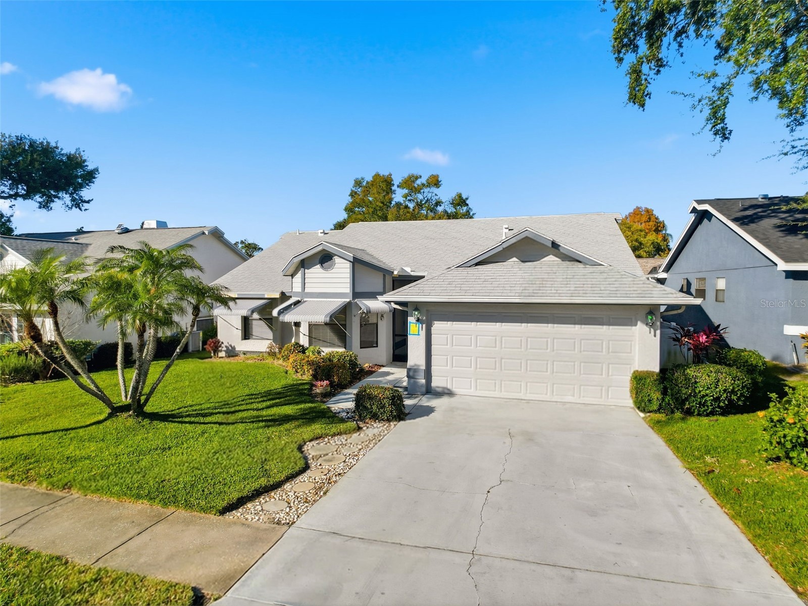 765 Saddlebrook Drive Tarpon Springs FL 34689 W7881772 image1