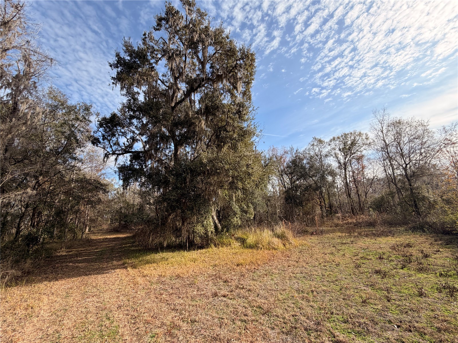 765 Sloans Ridge Road Groveland FL 34736 TB8467162 image51