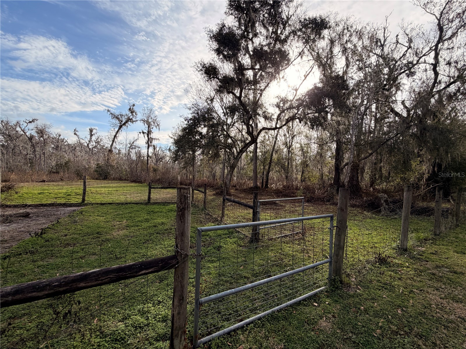 765 Sloans Ridge Road Groveland FL 34736 TB8467162 image53