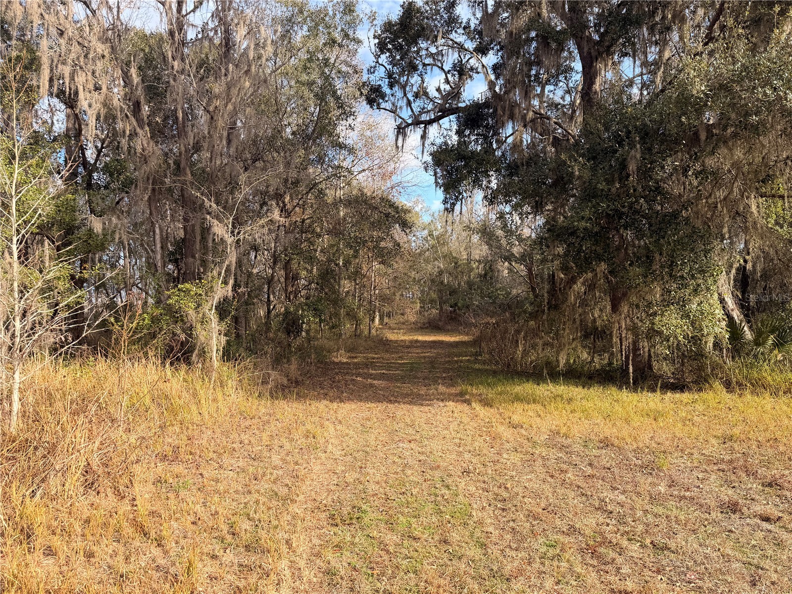 765 Sloans Ridge Road Groveland FL 34736 TB8467162 image56