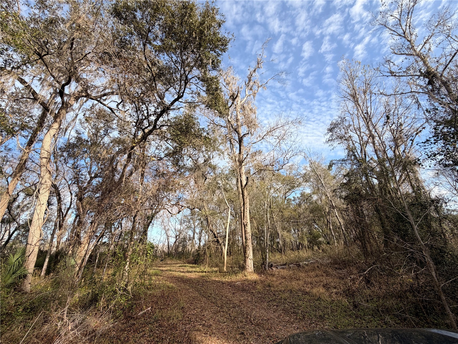 765 Sloans Ridge Road Groveland FL 34736 TB8467162 image57