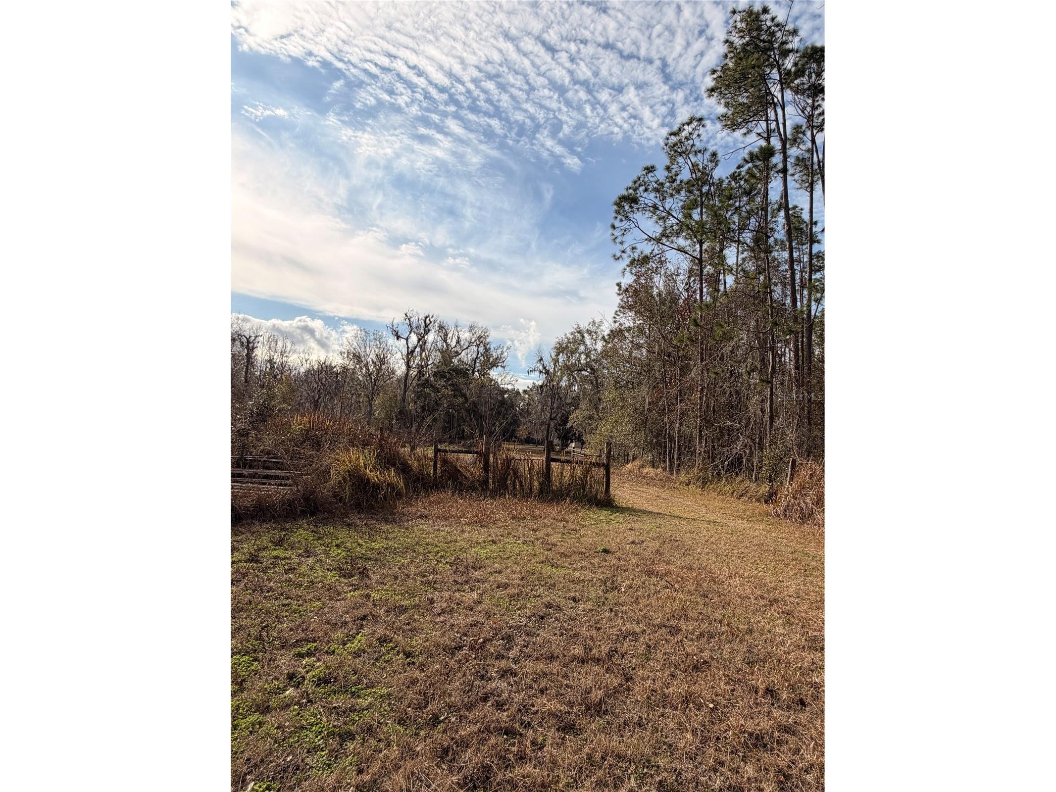 765 Sloans Ridge Road Groveland FL 34736 TB8467162 image58