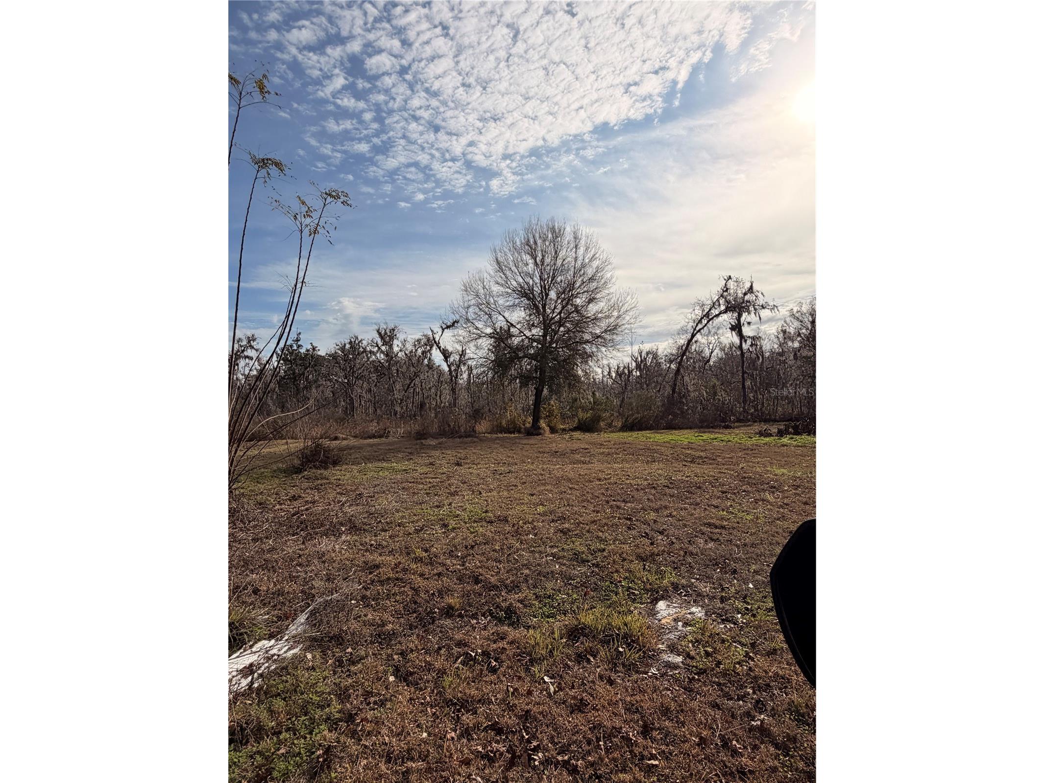 765 Sloans Ridge Road Groveland FL 34736 TB8467162 image59