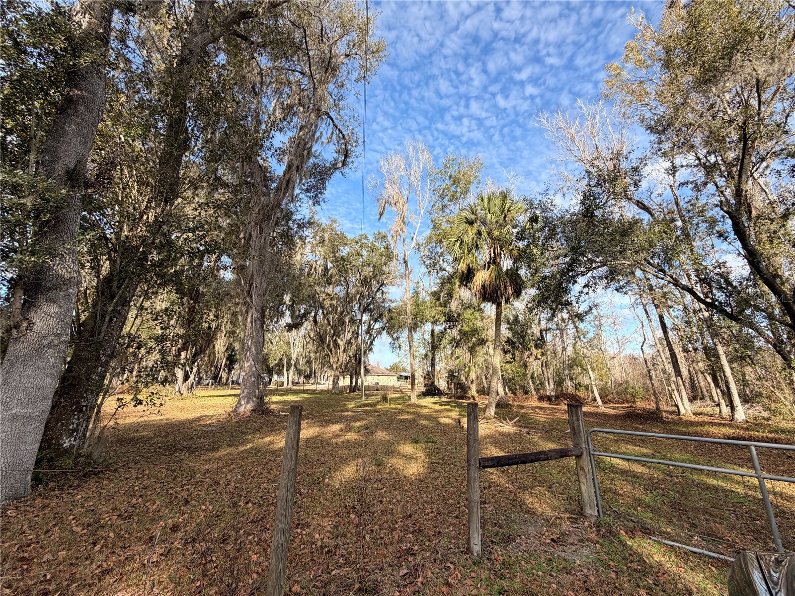 765 Sloans Ridge Road Groveland FL 34736 TB8467162 image62