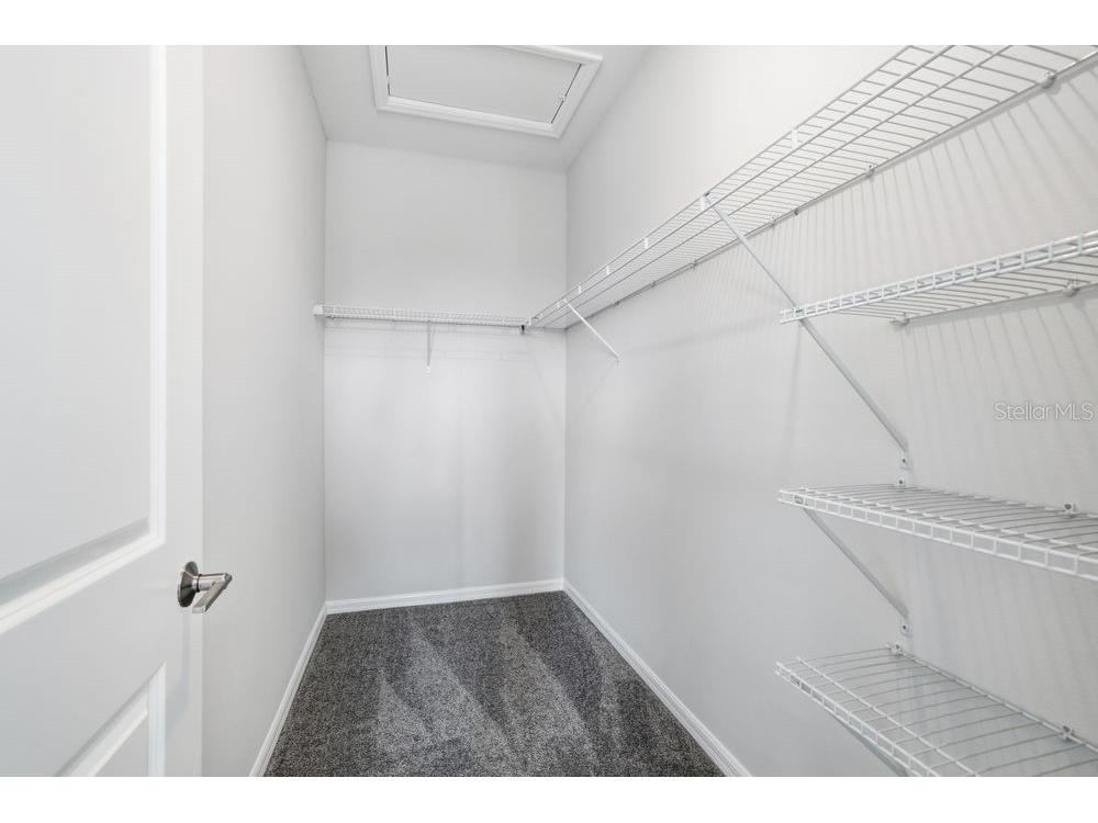 765 Steel Drive Apollo Beach FL 33572 TB8407381 image18