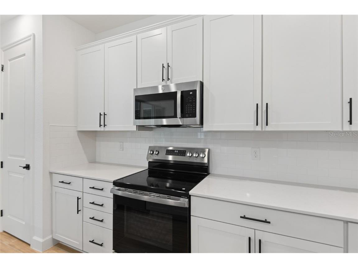 765 Wekiva Ridge Drive Mount Dora FL 32757 S5141146 image8