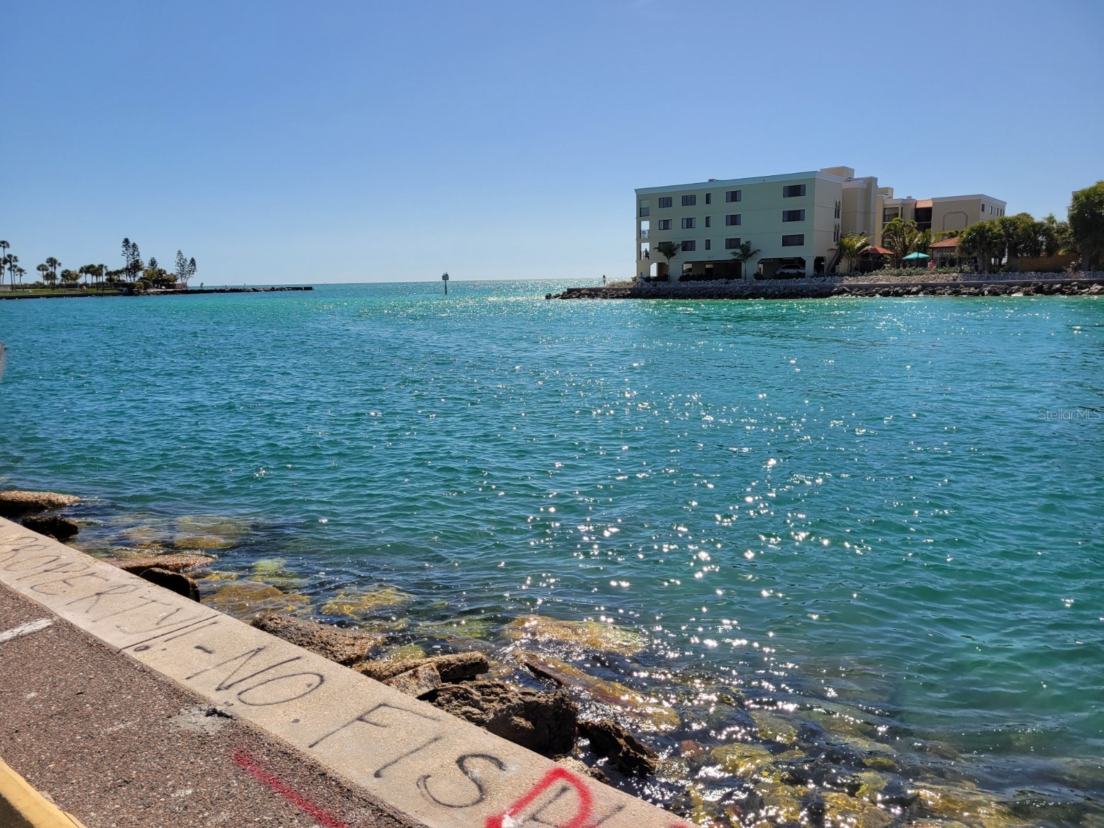 7650 Coquina Way #1 Saint Pete Beach FL 33706 TB8486688 image5