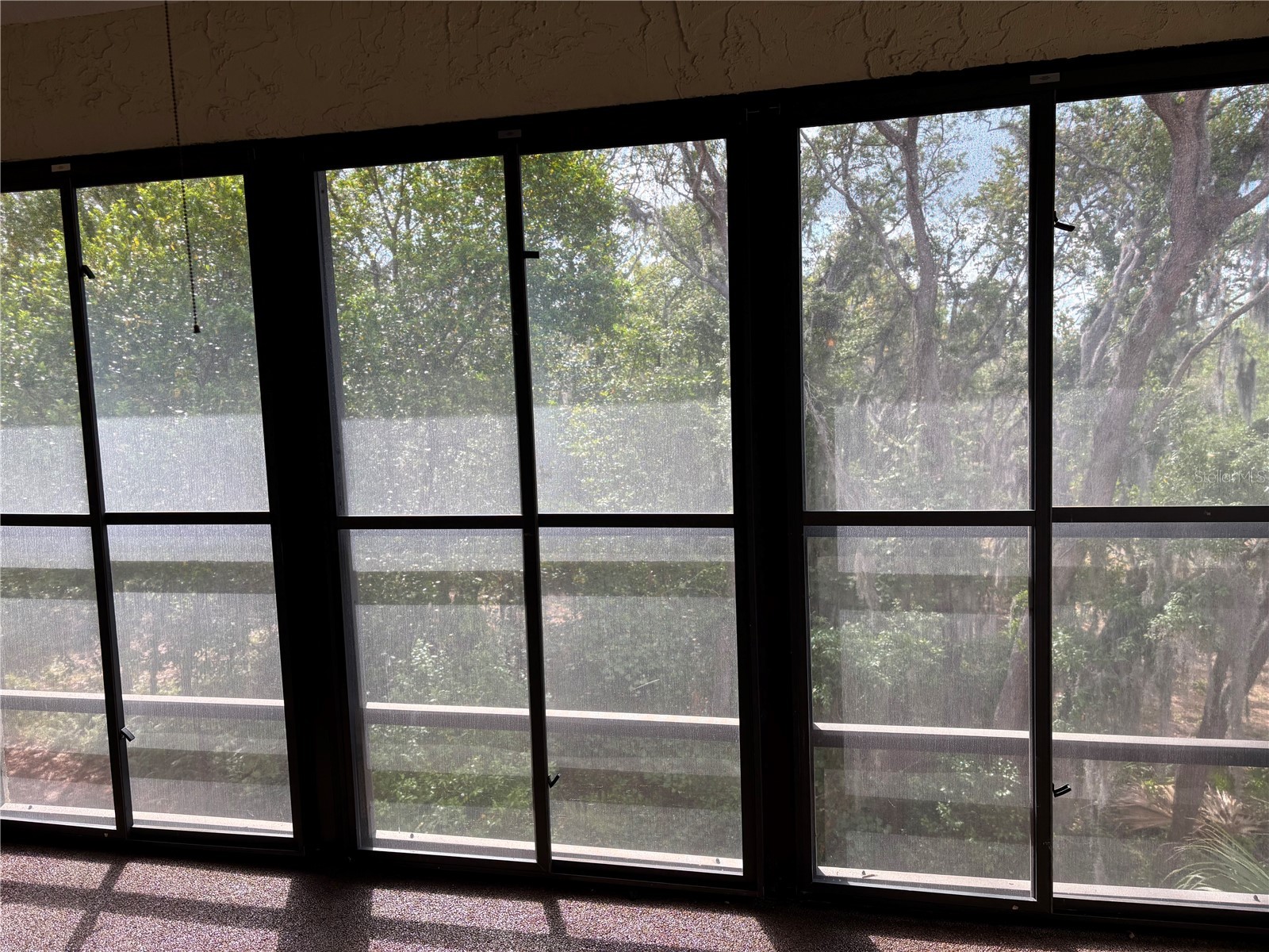 7650 Forest Trail #9 Port Richey FL 34668 W7885229 image17
