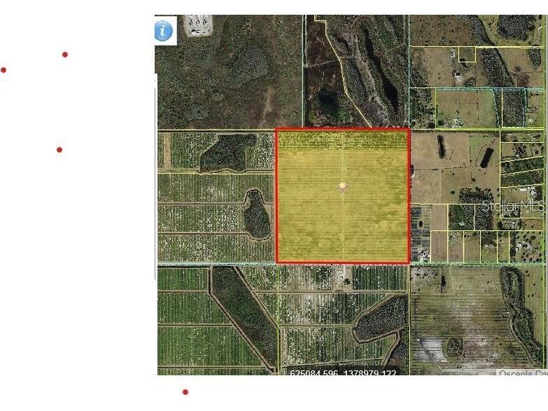 7650 Holopaw Groves Road Saint Cloud FL 34773 TB8428462 image4