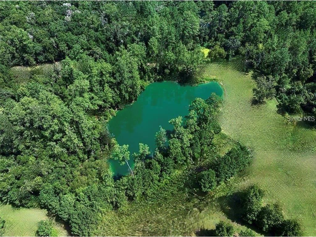 7650 N Whippoorwill Terrace Hernando FL 34442 TB8494011 image69