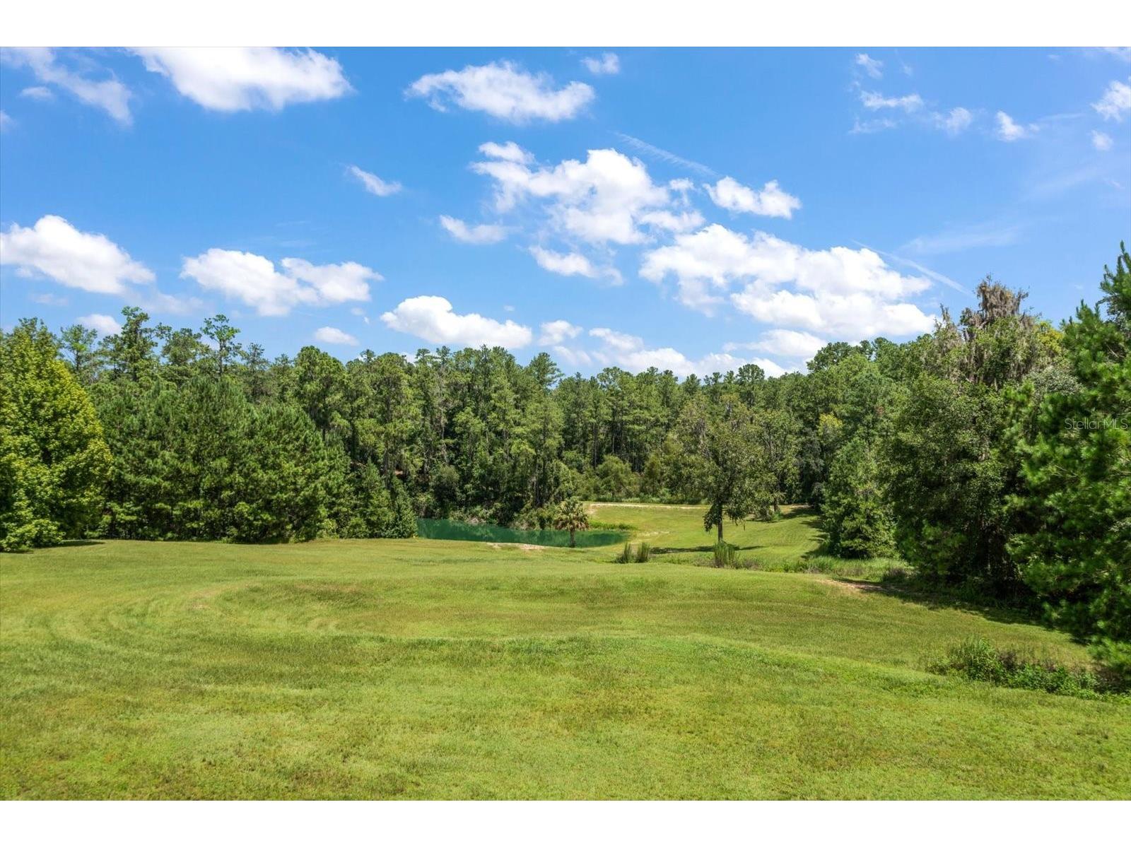 7650 N Whippoorwill Terrace Hernando FL 34442 TB8494011 image77