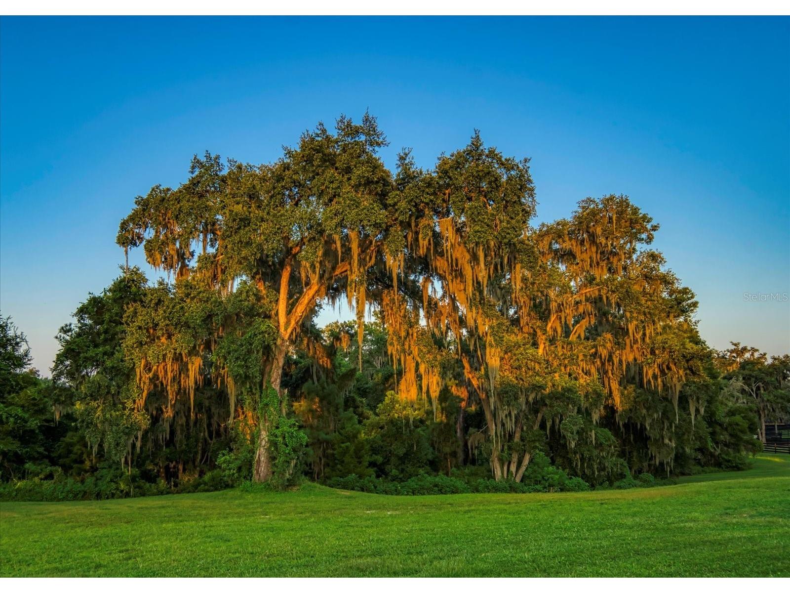 7650 N Whippoorwill Terrace Hernando FL 34442 TB8494011 image87