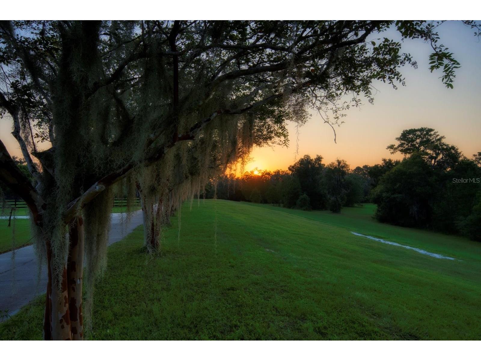 7650 N Whippoorwill Terrace Hernando FL 34442 TB8494011 image91