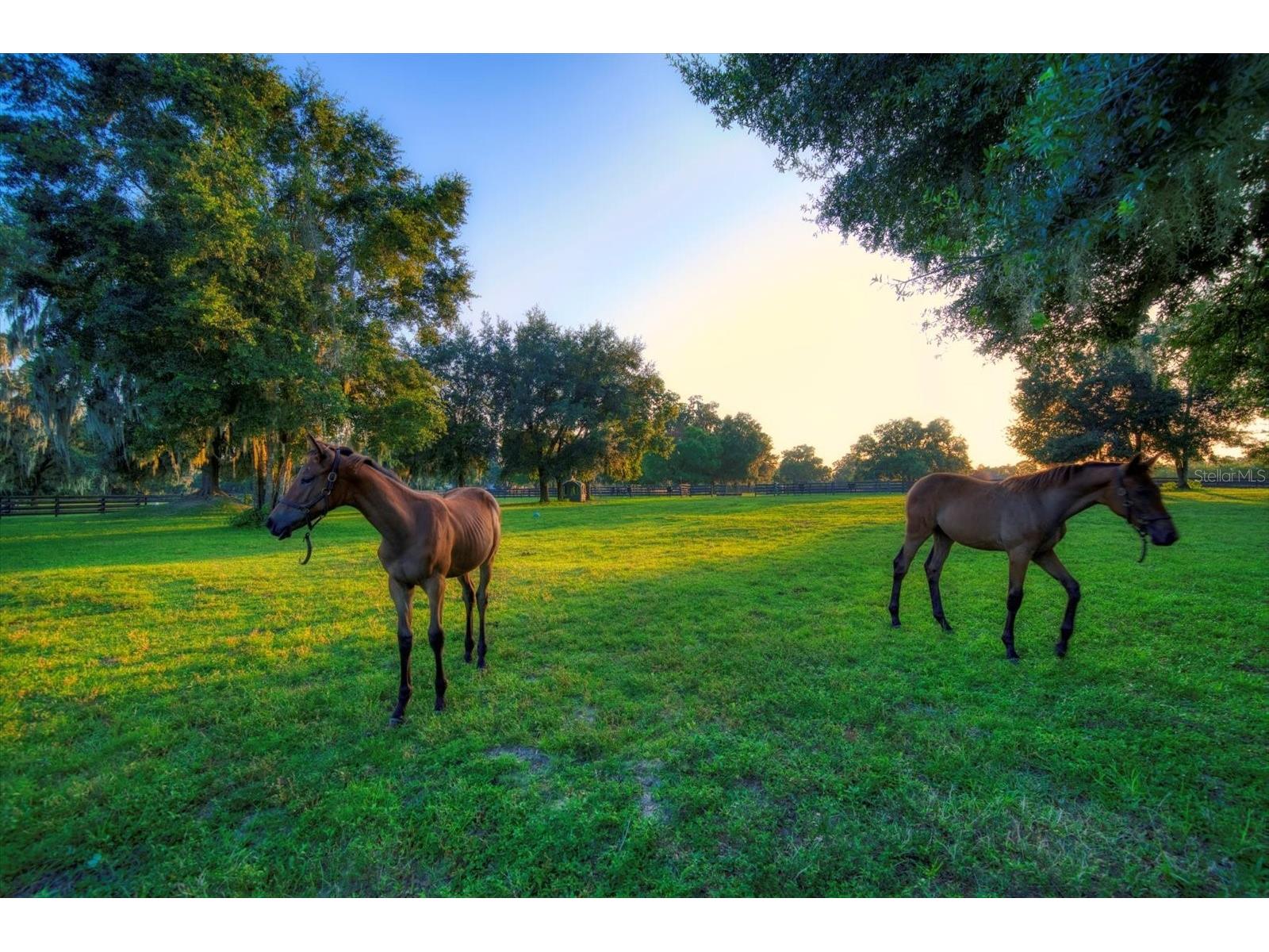 7650 N Whippoorwill Terrace Hernando FL 34442 TB8494011 image93