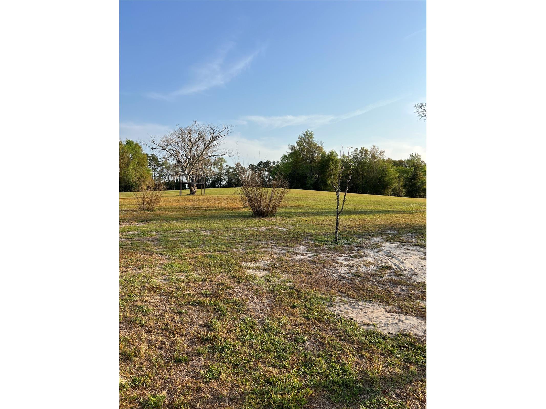 7650 NE 40th Street High Springs FL 32643 O6386085 image79