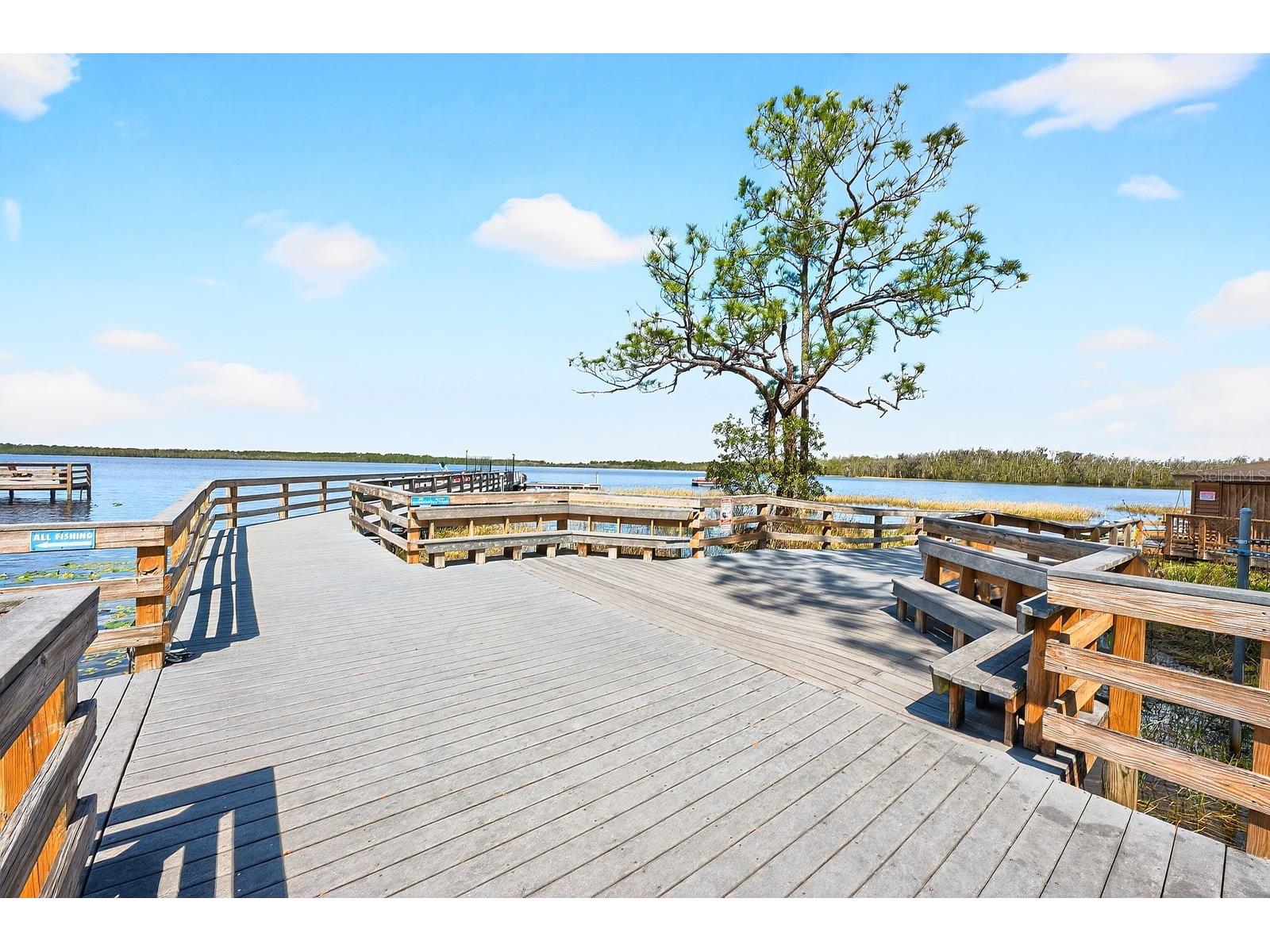 7651 Five Oaks Drive Harmony FL 34773 O6387387 image39