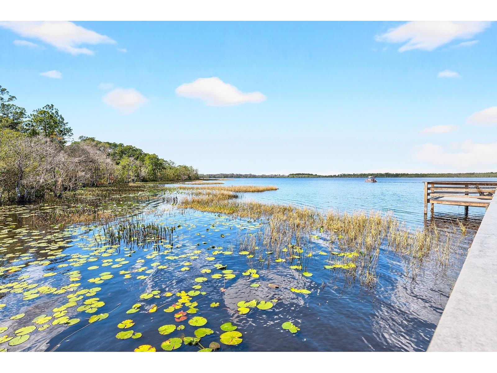 7651 Five Oaks Drive Harmony FL 34773 O6387387 image40