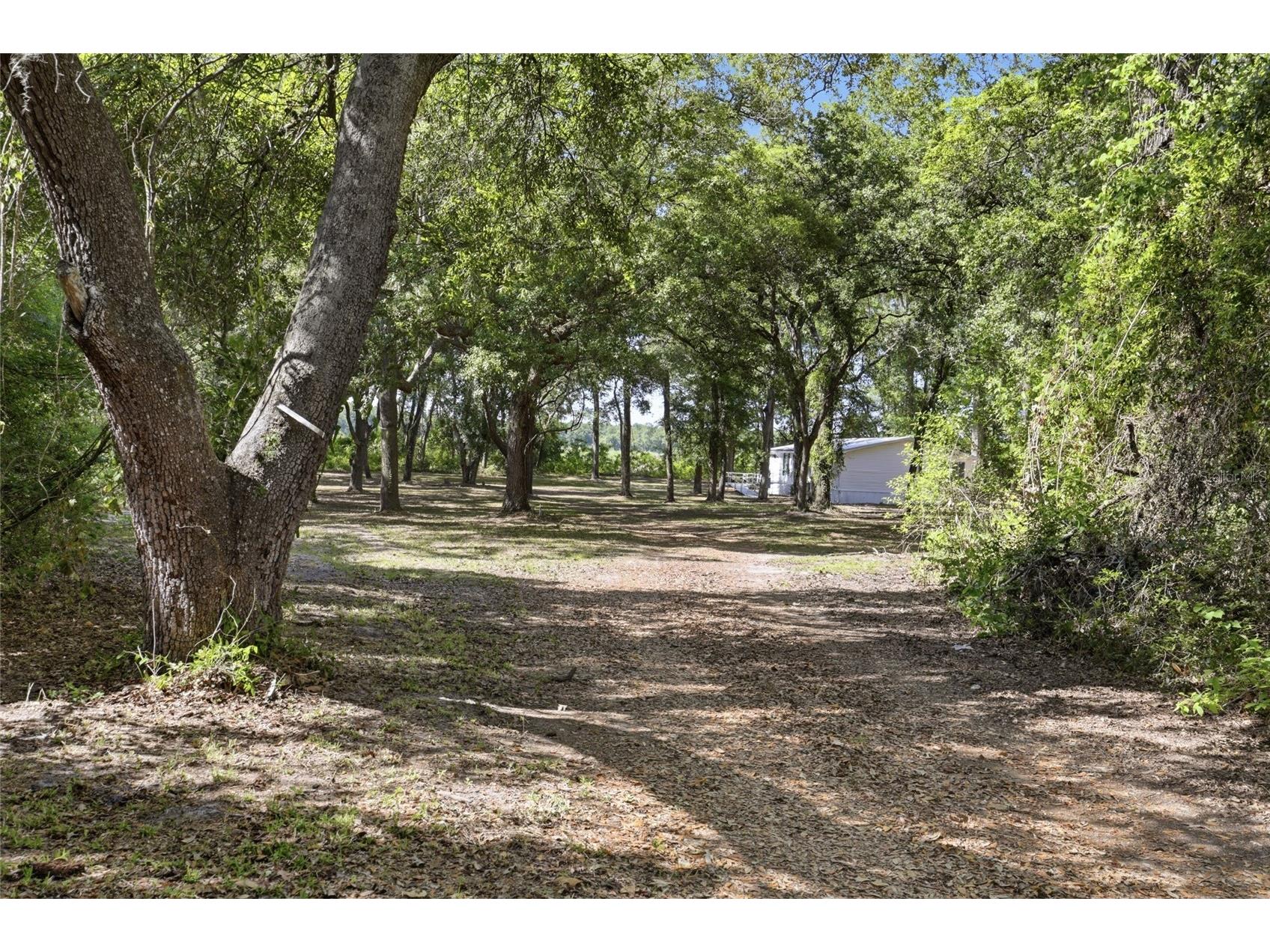 7651 NW 153rd Lane Chiefland FL 32626 GC540158 image34