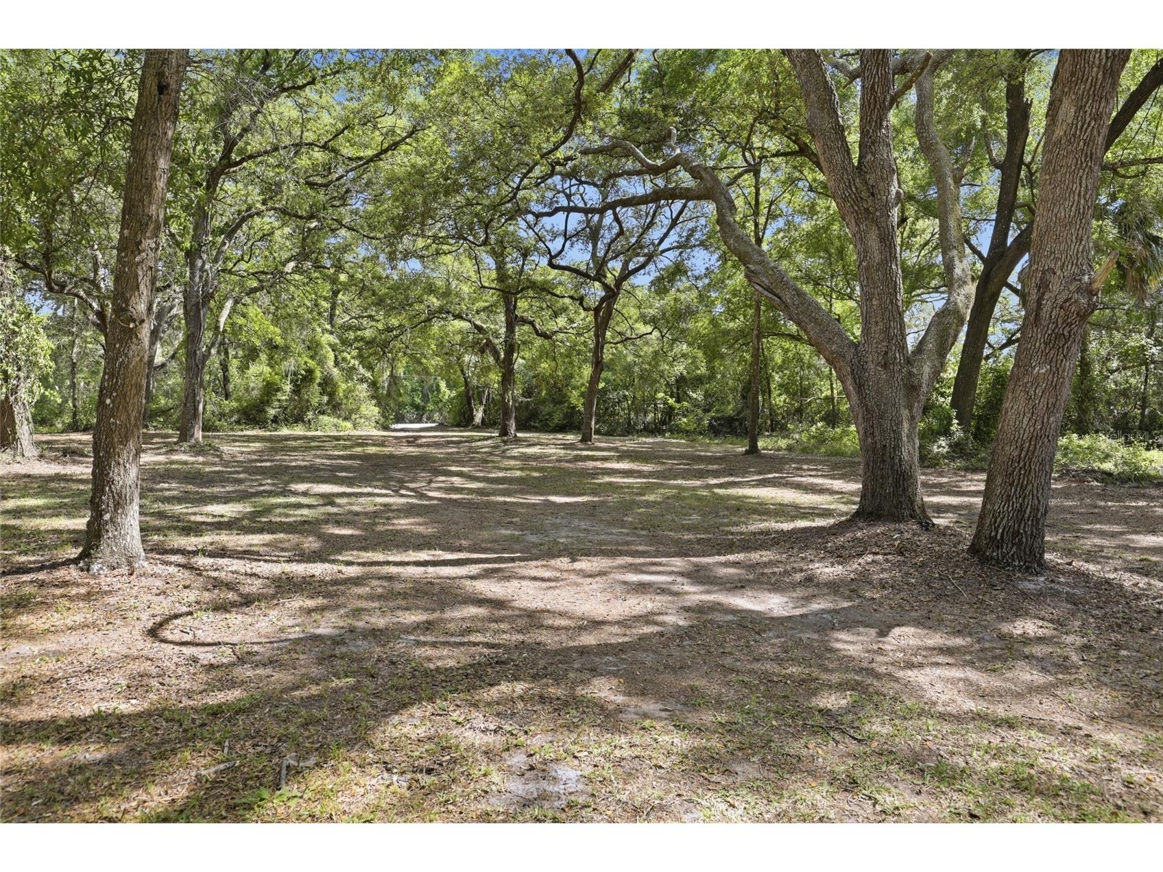 7651 NW 153rd Lane Chiefland FL 32626 GC540158 image36